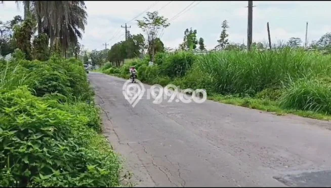 Untuk Dijual Tanah di Tingkir Salatiga Luas 300000m2 SHM Untuk Dijual Tanah di Tingkir Salatiga Luas 300000m2 SHM