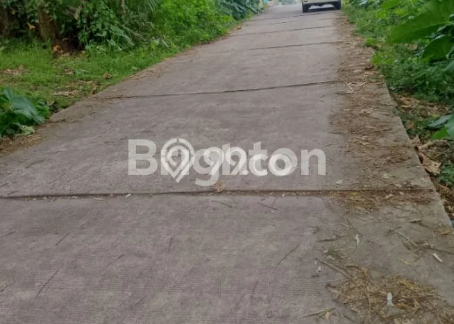 Jarang Ada! Tanah di Sidorejo Punya Luas 15000m2 SHM Jarang Ada! Tanah di Sidorejo Punya Luas 15000m2 SHM