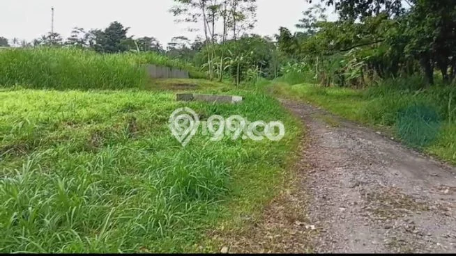 Untuk Dijual Tanah di Tingkir Salatiga Luas 300000m2 SHM Untuk Dijual Tanah di Tingkir Salatiga Luas 300000m2 SHM