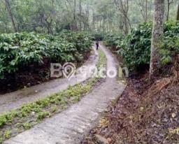 Tanah di Bejen, Temanggung Luas 560000m2 Dijual Segera Tanah di Bejen, Temanggung Luas 560000m2 Dijual Segera