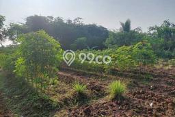 Tanah di Tigaraksa, Tangerang Luas 82000m2 Dijual Segera Tanah di Tigaraksa, Tangerang Luas 82000m2 Dijual Segera