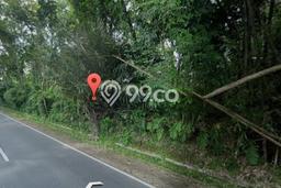 Lahan Kosong Dijual di Salaman, Magelang, Luas 1800m2 Area Strategis Lahan Kosong Dijual di Salaman, Magelang, Luas 1800m2 Area Strategis