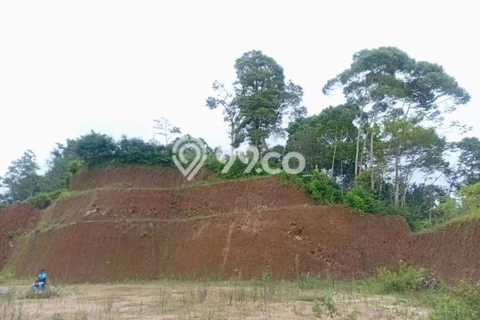 Kavling Tanah Dijual di Kaliangkrik, Magelang, Luas 10000m2 Area Strategis Kavling Tanah Dijual di Kaliangkrik, Magelang, Luas 10000m2 Area Strategis