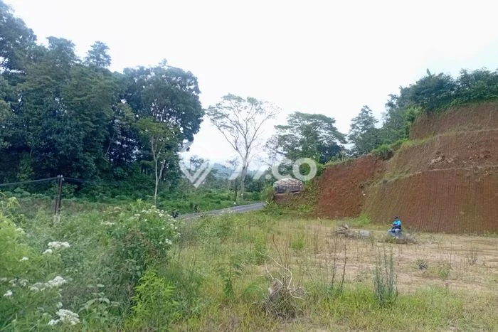 Kavling Tanah Dijual di Kaliangkrik, Magelang, Luas 10000m2 Area Strategis Kavling Tanah Dijual di Kaliangkrik, Magelang, Luas 10000m2 Area Strategis
