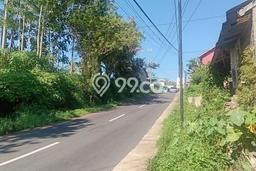 Tanah Dijual Lokasi Bandongan, Magelang Luas 8000m2 Legalitas Aman Tanah Dijual Lokasi Bandongan, Magelang Luas 8000m2 Legalitas Aman