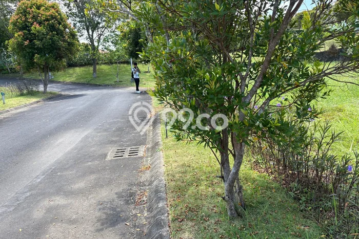 Tanah untuk Dijual Lokasi Tabanan, Tabanan Luas 300m2 SHM Tanah untuk Dijual Lokasi Tabanan, Tabanan Luas 300m2 SHM