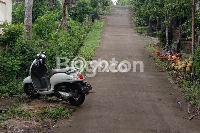 Lahan Strategis di Pekutatan Dijual dengan Luas 1600m2 Lahan Strategis di Pekutatan Dijual dengan Luas 1600m2