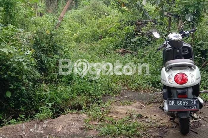Lahan Strategis di Pekutatan Dijual dengan Luas 1600m2 Lahan Strategis di Pekutatan Dijual dengan Luas 1600m2