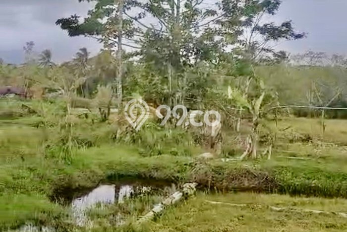Dijual Tanah di Pandeglang, Luas 41666m2 SHM Dijual Tanah di Pandeglang, Luas 41666m2 SHM