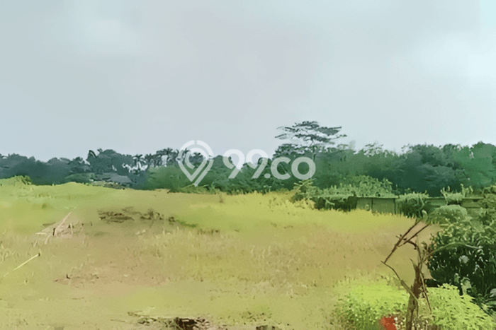 Lahan Kosong Dijual di Serang dengan Area 26000m2 Lahan Kosong Dijual di Serang dengan Area 26000m2
