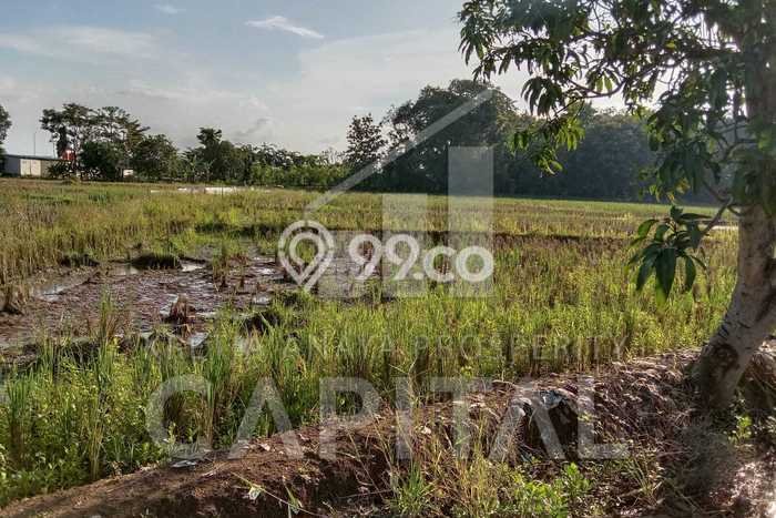 Tanah Dijual Lokasi Kertajati, Majalengka dengan Luas Tanah 28526m2 dan Status SHM Tanah Dijual Lokasi Kertajati, Majalengka dengan Luas Tanah 28526m2 dan Status SHM