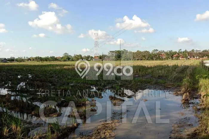 Tanah Dijual Lokasi Kertajati, Majalengka dengan Luas Tanah 28526m2 dan Status SHM Tanah Dijual Lokasi Kertajati, Majalengka dengan Luas Tanah 28526m2 dan Status SHM