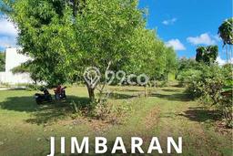 Jarang Ada! Tanah di Kuta Selatan Punya Luas 600m2 SHM Jarang Ada! Tanah di Kuta Selatan Punya Luas 600m2 SHM