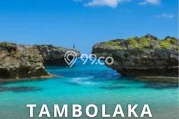 Kavling Tanah Dijual di Kota Tambolaka Sumba Barat Daya Spesifikasi 3000m2 Kavling Tanah Dijual di Kota Tambolaka Sumba Barat Daya Spesifikasi 3000m2