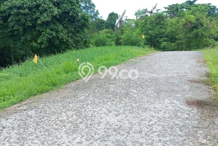 Tanah Investasi Dijual di Tabanan Punya Luas 1193m2 Tanah Investasi Dijual di Tabanan Punya Luas 1193m2