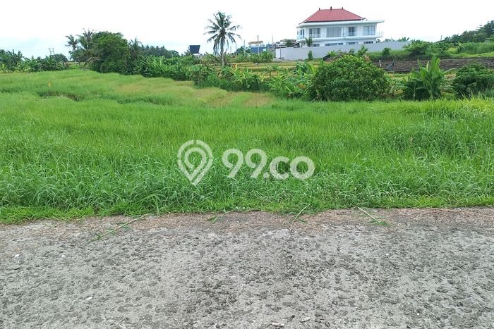 Tanah Investasi Dijual di Tabanan Punya Luas 1193m2 Tanah Investasi Dijual di Tabanan Punya Luas 1193m2