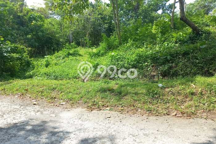 Tanah Dijual di Tabanan Seluas 500m2 Strategis Tanah Dijual di Tabanan Seluas 500m2 Strategis