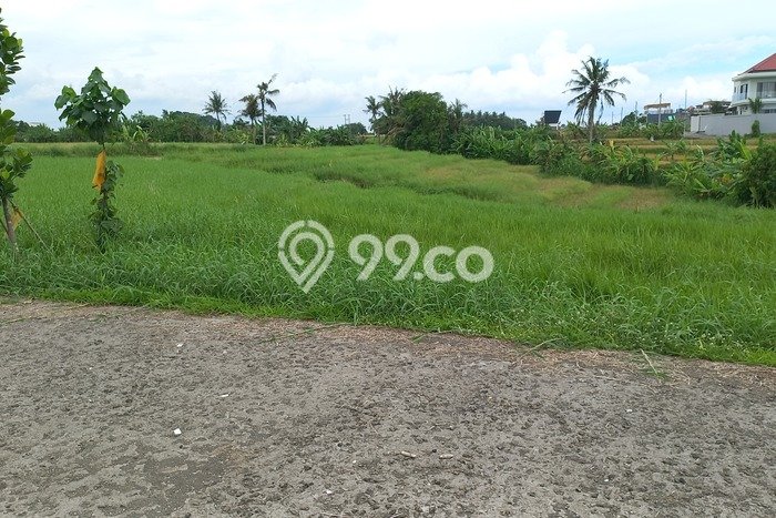 Tanah Investasi Dijual di Tabanan Punya Luas 1193m2 Tanah Investasi Dijual di Tabanan Punya Luas 1193m2