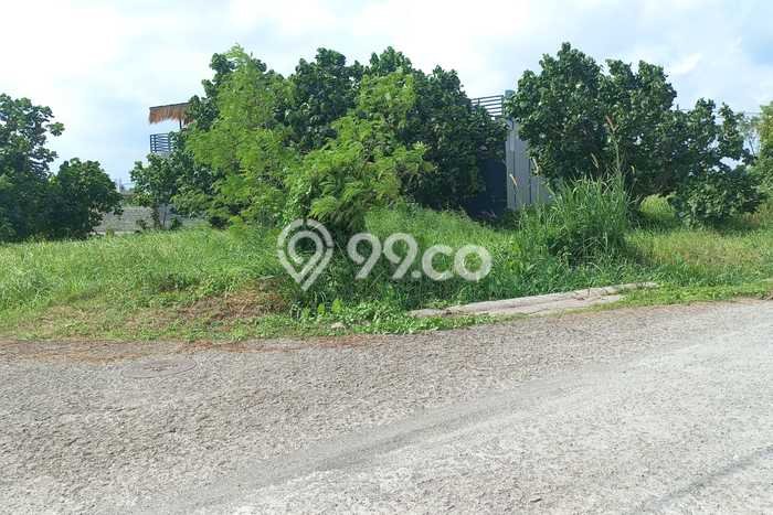 Dijual Tanah Lokasi Kedungu, Tabanan Seluas 885m2 Dijual Tanah Lokasi Kedungu, Tabanan Seluas 885m2