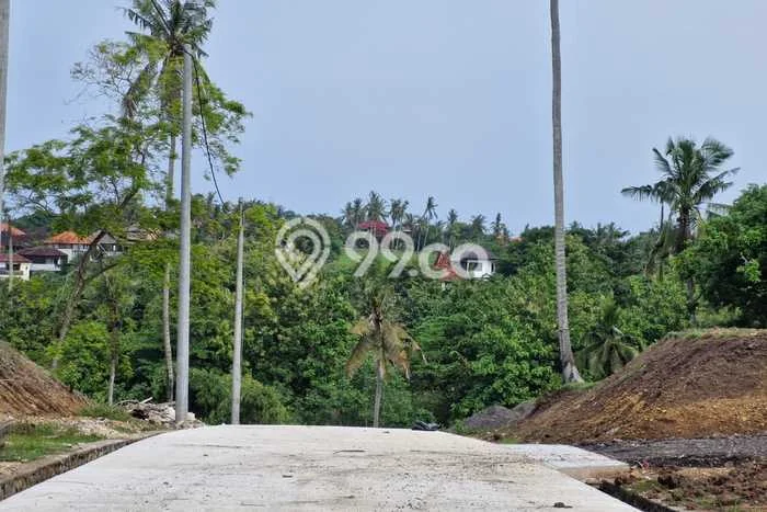 Tanah Kavling Dijual di Tabanan dengan Spesifikasi 3600m2 Tanah Kavling Dijual di Tabanan dengan Spesifikasi 3600m2