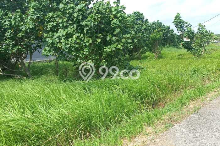 Dijual Tanah Lokasi Kedungu, Tabanan Seluas 885m2 Dijual Tanah Lokasi Kedungu, Tabanan Seluas 885m2