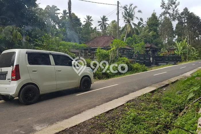 Kavling Tanah Dijual di Kerambitan Tabanan Spesifikasi 650m2 Kavling Tanah Dijual di Kerambitan Tabanan Spesifikasi 650m2