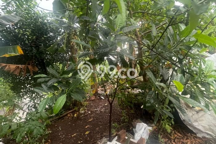 Lahan Investasi Lokasi Parung Panjang Bogor AJB Lahan Investasi Lokasi Parung Panjang Bogor AJB