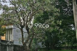Tanah Kavling Dijual di Raffles Hills, Jakarta Timur dengan Luas Tanah 685m2 Tanah Kavling Dijual di Raffles Hills, Jakarta Timur dengan Luas Tanah 685m2