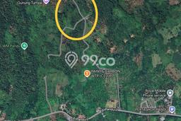 AREA PROSPEKTIF! Tanah di Mapanget, Luas 110000m2m², Akses Transportasi, Kawasan Berkembang AREA PROSPEKTIF! Tanah di Mapanget, Luas 110000m2m², Akses Transportasi, Kawasan Berkembang