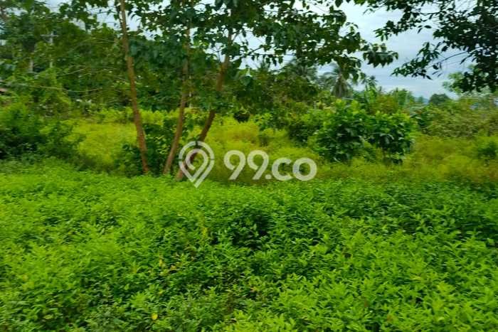 Lahan Kosong Dijual di Manado dengan Area 250000m2 Lahan Kosong Dijual di Manado dengan Area 250000m2