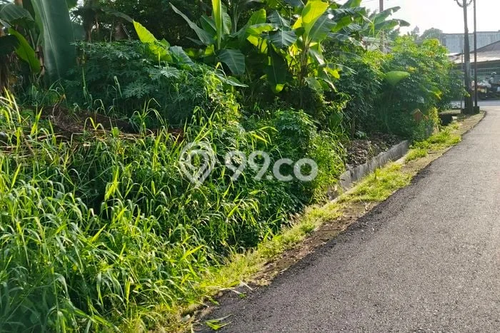 Kavling Tanah Dijual di Malalayang Manado Spesifikasi 20000m2 Kavling Tanah Dijual di Malalayang Manado Spesifikasi 20000m2
