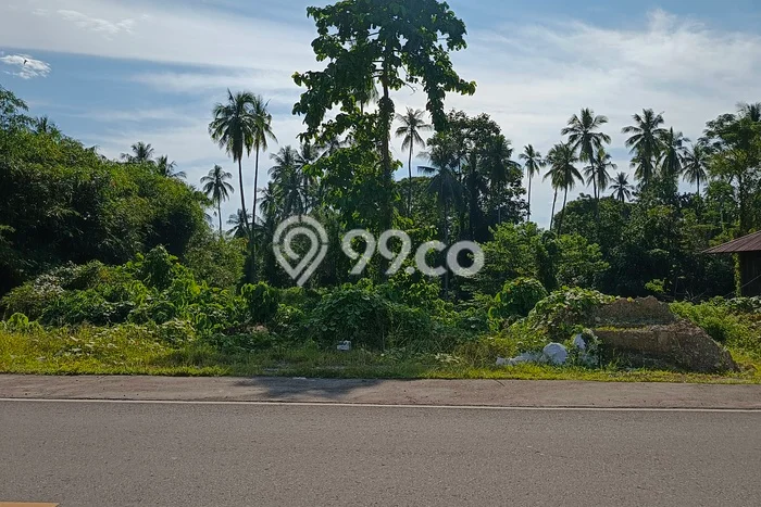 Tanah Dijual Lokasi Malalayang, Manado Luas 50000m2 Legalitas Aman Tanah Dijual Lokasi Malalayang, Manado Luas 50000m2 Legalitas Aman