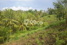 Kavling Tanah Dijual di Likupang Timur Minahasa Utara Spesifikasi 700000m2 Kavling Tanah Dijual di Likupang Timur Minahasa Utara Spesifikasi 700000m2
