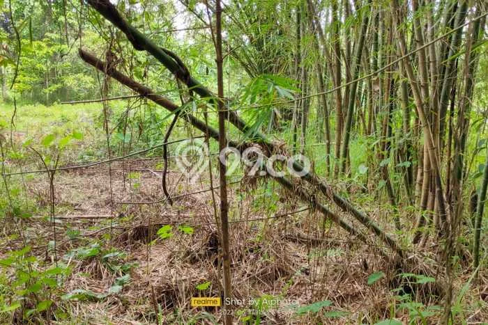 Kavling Tanah Dijual di Malalayang Manado Spesifikasi 20000m2 Kavling Tanah Dijual di Malalayang Manado Spesifikasi 20000m2