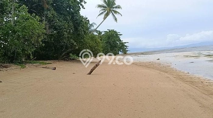 Tanah di Kombi, Minahasa Luas 1350m2 Dijual Segera Tanah di Kombi, Minahasa Luas 1350m2 Dijual Segera