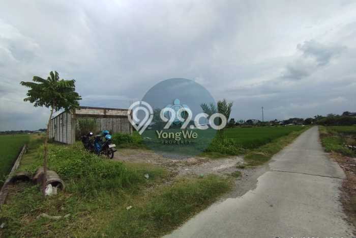 Kavling Tanah di Bangsal Dijual Luas 1928m2 Legalitas SHM Kavling Tanah di Bangsal Dijual Luas 1928m2 Legalitas SHM