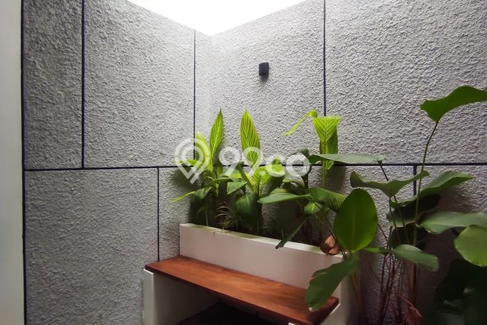 Rumah Luas Asri 2 KT Siap Pakai di Sektor 9-Bintaro Tangerang Selatan Rumah Luas Asri 2 KT Siap Pakai di Sektor 9-Bintaro Tangerang Selatan