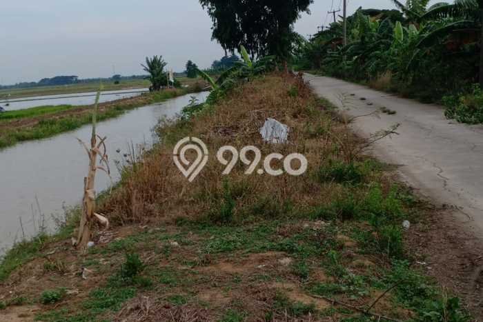 Kavling Tanah di Tambun Utara Dijual Luas 10000m2 Legalitas SHM Kavling Tanah di Tambun Utara Dijual Luas 10000m2 Legalitas SHM