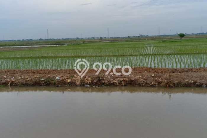 Kavling Tanah di Tambun Utara Dijual Luas 10000m2 Legalitas SHM Kavling Tanah di Tambun Utara Dijual Luas 10000m2 Legalitas SHM