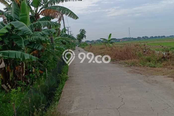 Kavling Tanah di Tambun Utara Dijual Luas 10000m2 Legalitas SHM Kavling Tanah di Tambun Utara Dijual Luas 10000m2 Legalitas SHM