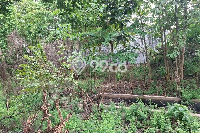 Tanah Dijual Lokasi Strategis di Bekasi dengan Luas 2000m2 Tanah Dijual Lokasi Strategis di Bekasi dengan Luas 2000m2