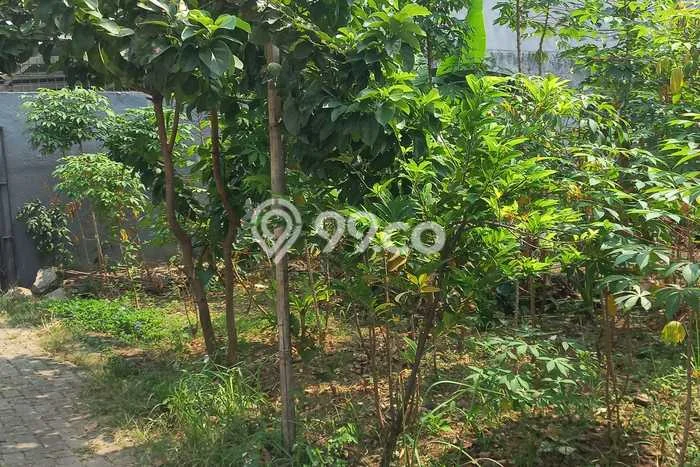 LOKASI STRATEGIS! Tanah di , Luas 164m2m², Lingkungan Nyaman, Cocok untuk Investasi LOKASI STRATEGIS! Tanah di , Luas 164m2m², Lingkungan Nyaman, Cocok untuk Investasi