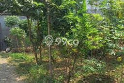 Lahan Dijual Lokasi Strategis di Depok dengan Luas 164m2 Lahan Dijual Lokasi Strategis di Depok dengan Luas 164m2