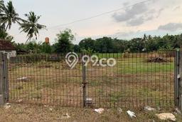 Tanah Kavling untuk Dijual di Wates Kulon Progo 1979m2 Tanah Kavling untuk Dijual di Wates Kulon Progo 1979m2