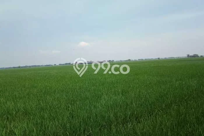 Lahan Investasi Lokasi Pebayuran Bekasi - Lahan Investasi Lokasi Pebayuran Bekasi -