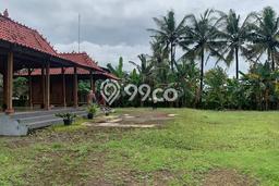 Tanah Strategis Dijual di Wates Kulon Progo 1709m2 Tanah Strategis Dijual di Wates Kulon Progo 1709m2