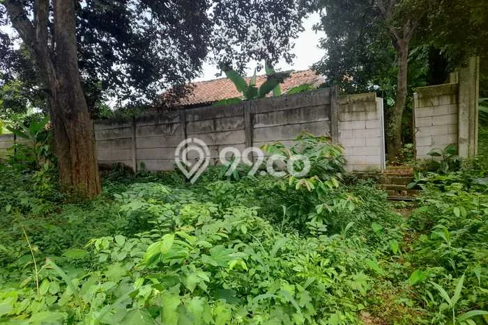 Disewakan Tanah Lokasi Strategis di Cilandak Jakarta Selatan 6700m2 Disewakan Tanah Lokasi Strategis di Cilandak Jakarta Selatan 6700m2