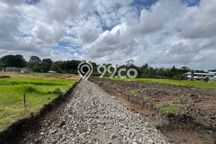 Jarang Ada! Tanah di Tabanan Punya Luas 350m2 SHM Jarang Ada! Tanah di Tabanan Punya Luas 350m2 SHM