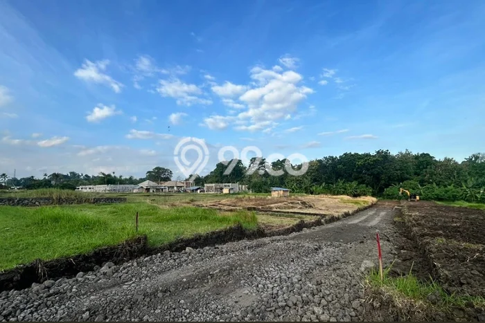 Jarang Ada! Tanah di Tabanan Punya Luas 350m2 SHM Jarang Ada! Tanah di Tabanan Punya Luas 350m2 SHM