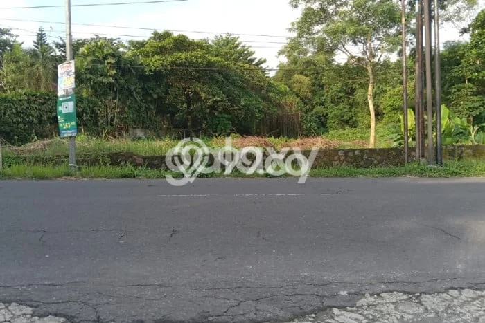 Untuk Dijual Tanah di Sleman Sleman Luas 2619m2 SHM Untuk Dijual Tanah di Sleman Sleman Luas 2619m2 SHM